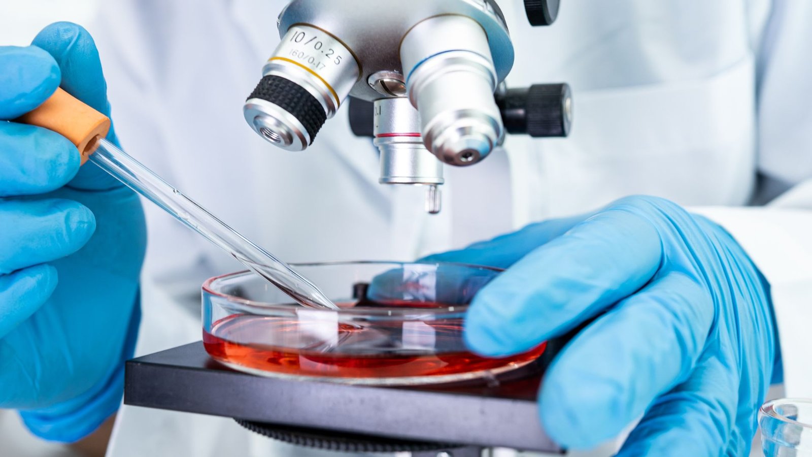 Journal of Microbiology and Biotechnology with Research and Reports