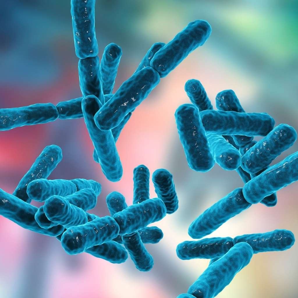 Journal of Microbiology and Biotechnology with Research and Reports